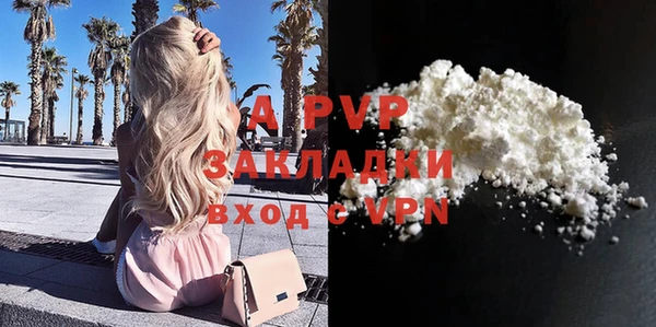 молекула духа Надым