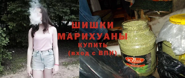 молекула духа Надым