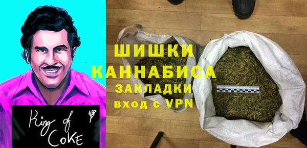 молекула духа Надым
