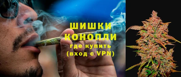 молекула духа Надым